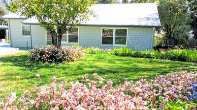 Garden in Spring